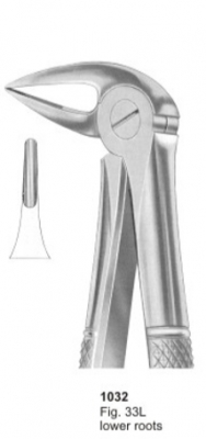  Fig. 33L lower roots 